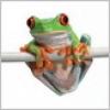 Profile picture for user shaneprofessional